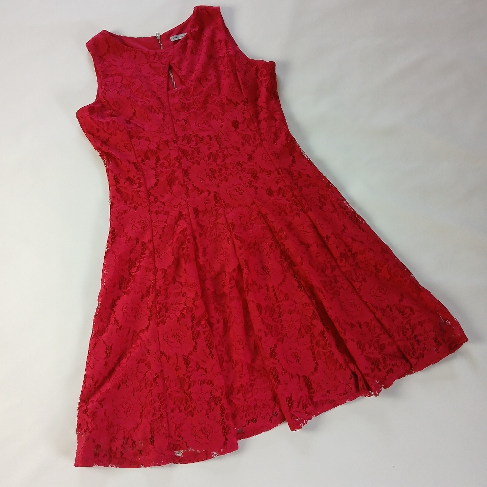 Danny And Nicole Sleeveless Lave Overlay Dress 8